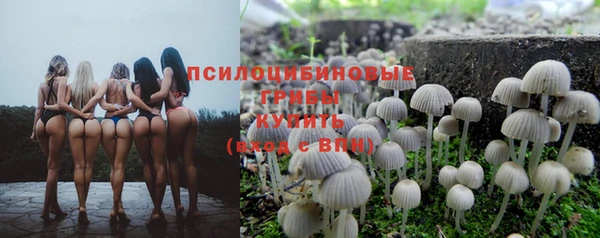 2c-b Балахна