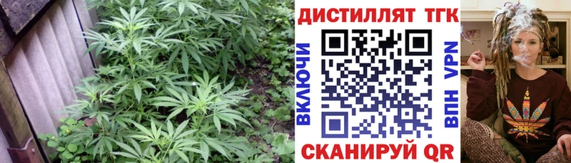 Дистиллят ТГК гашишное масло  закладка  Вязники 