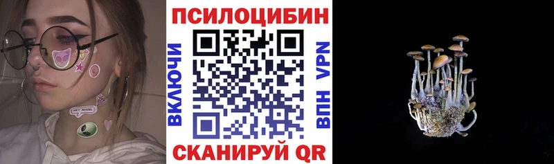 Галлюциногенные грибы Cubensis что такое наркотик Вязники