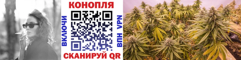 где найти наркотики  Вязники  Шишки марихуана White Widow 